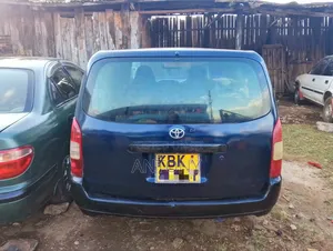 Toyota Probox 1.5 DX 2WD 2004 Blue