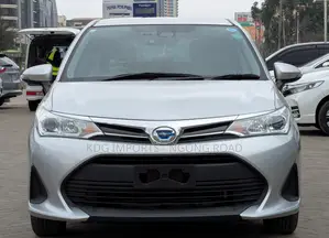 Toyota Corolla Fielder 2019