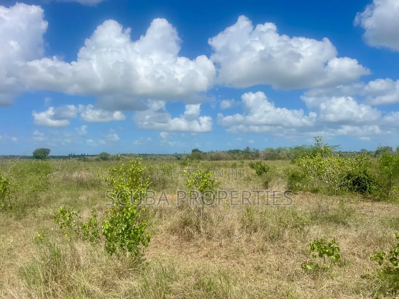 5 Acres Road-Fronting Land in Marafa-Magarini Agri-Commercial Frontier