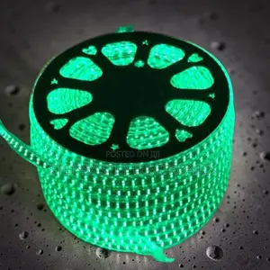Outdoor 50M Metres SMD Color Green Led Strip Light Snake Light