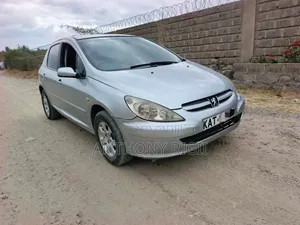 Peugeot 307 2002 Silver