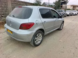 Peugeot 307 2002 Silver