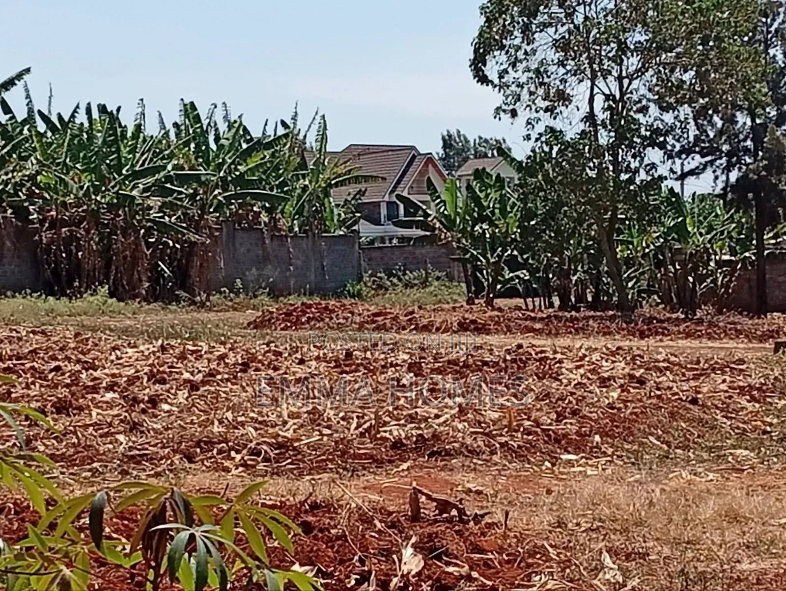 Residential Plots for Sale in Ruiru Muhasibu Silverbank Estate