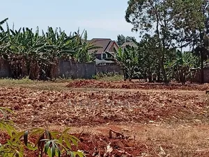 Residential Plots for Sale in Ruiru Muhasibu Silverbank Estate