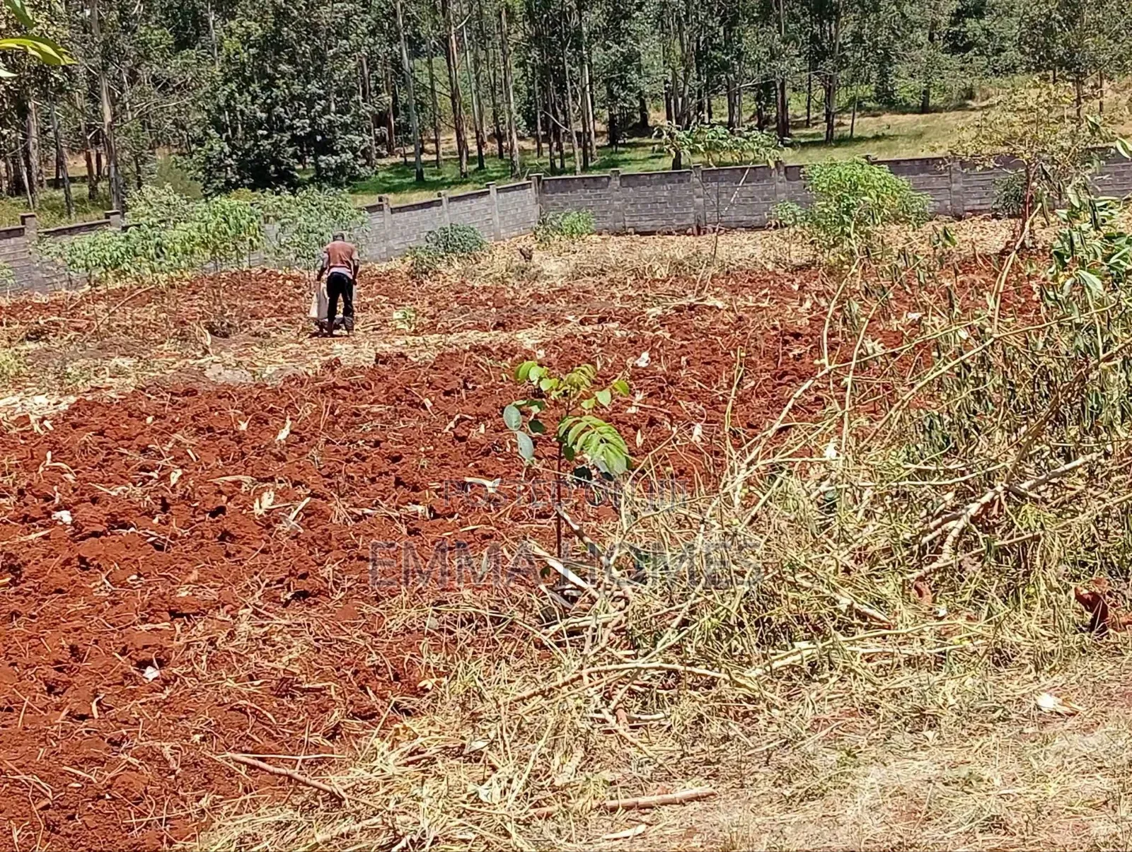 Residential Plots for Sale in Ruiru Muhasibu Silverbank Estate