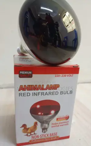 Infrared Chicken Brooder Heat Bulb
