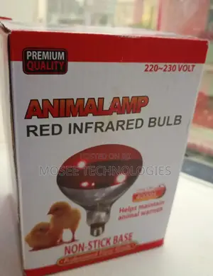 Chicken Brooding Heat Bulb