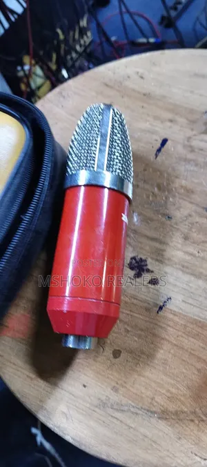 Studio Condenser Microphone
