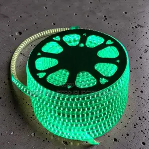 IP67 Waterproof 50M Metres SMD Color Green Led Strip Light Snake Light