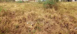 Commercial 50x100 Plot Touching Thika Super Highway.
