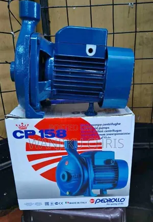 1hp Pedrollo Water Pump/Pedrollo CPM 158 Centrifugal Pump