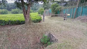 2 ,3 6 Acres Kentmere
