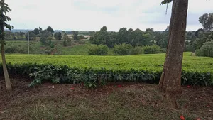 2 ,3 6 Acres Kentmere