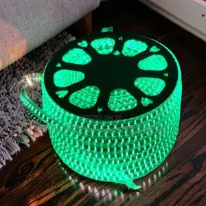 Home Use 50M Metres SMD Color Green Led Strip Light Snake Light
