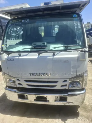 Isuzu Elf Crane 4t 2019 White