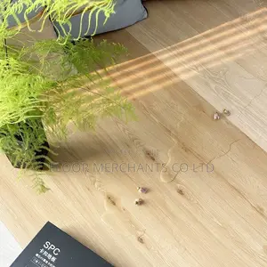 Megalock SPC Plank