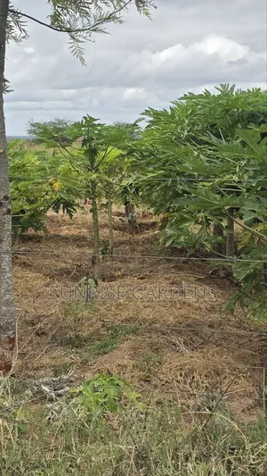 100 Acres for Sale in Kajiado Mashuru