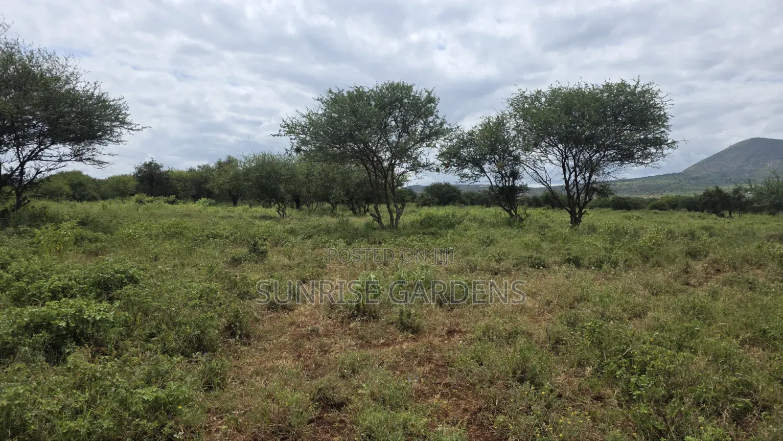 100 Acres for Sale in Kajiado Mashuru