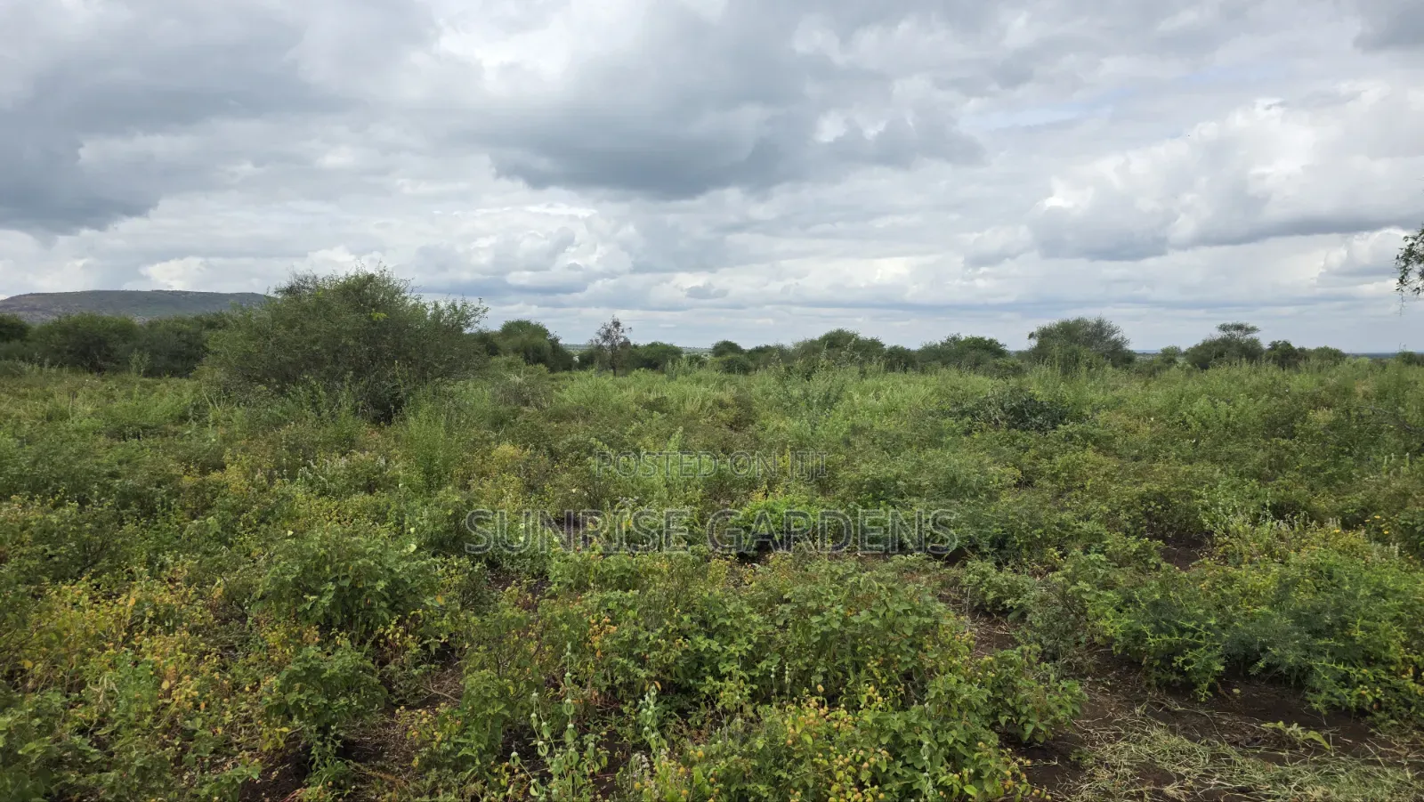 100 Acres for Sale in Kajiado Mashuru