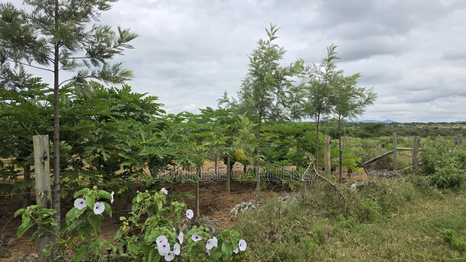 100 Acres for Sale in Kajiado Mashuru