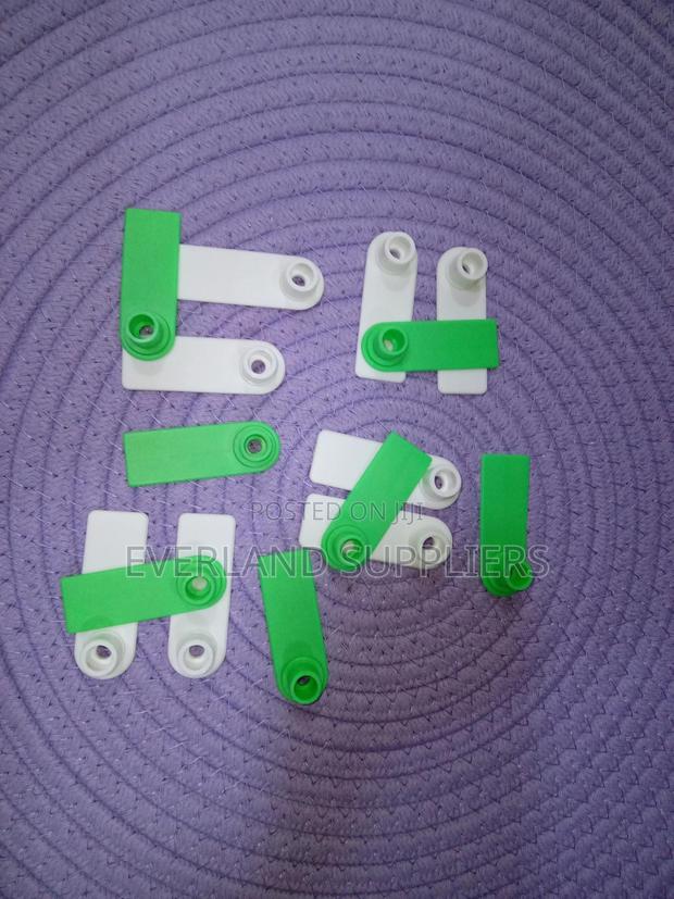 Ear Tags - Bright Animal Tags - main view