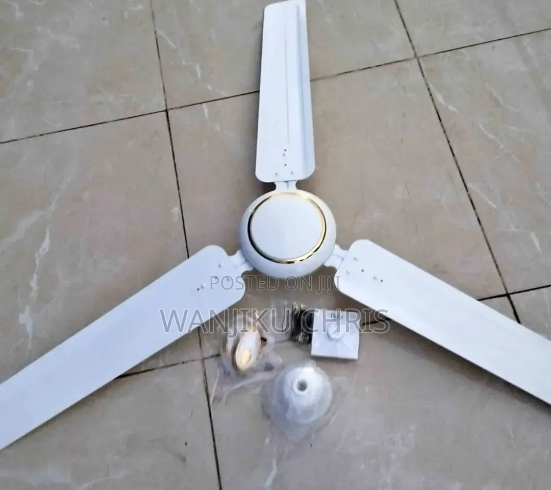 3 Blades Ceiling Fan/Ideal Premier Ceiling Fan