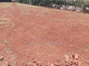 Monifa Garden Services Landscaping 2. Category