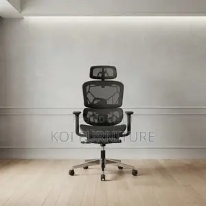 Office Chairs; Executive Orthopedic Seat With Foldable Footrest