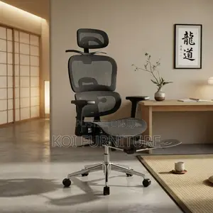 Office Chairs; Executive Orthopedic Seat With Foldable Footrest