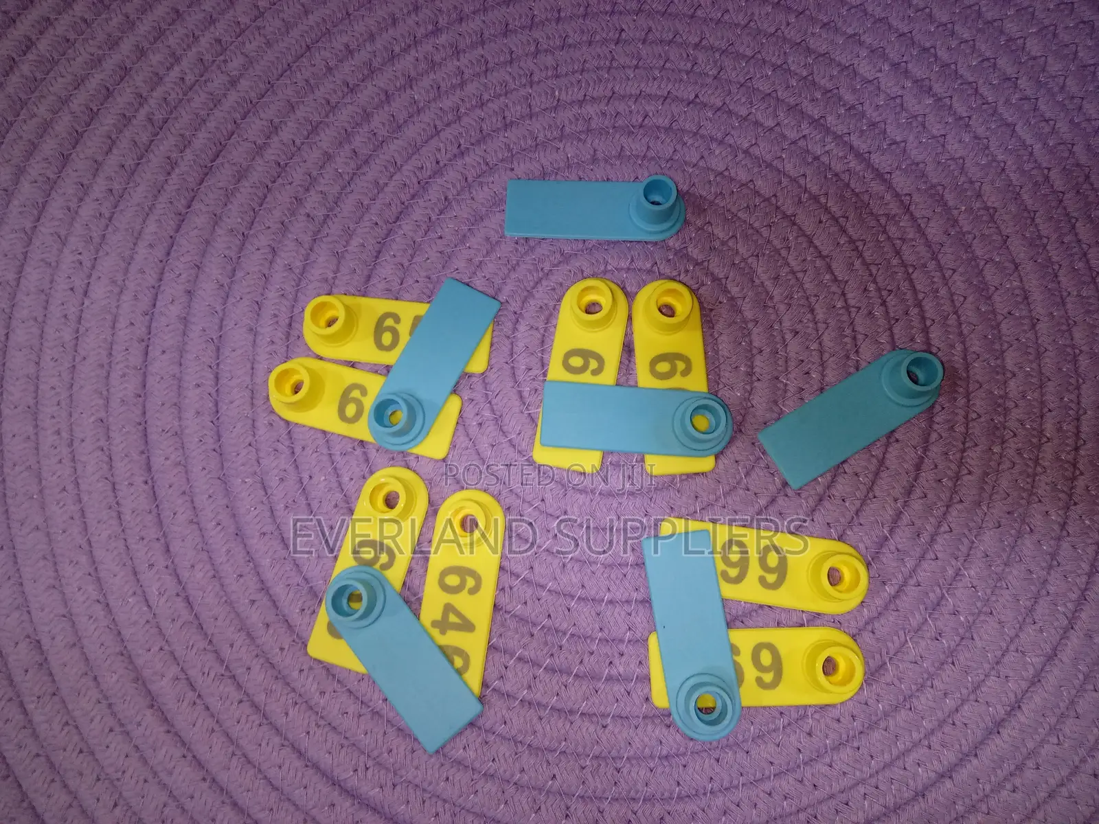Ear Tags - Easy-Spot Ear Tags