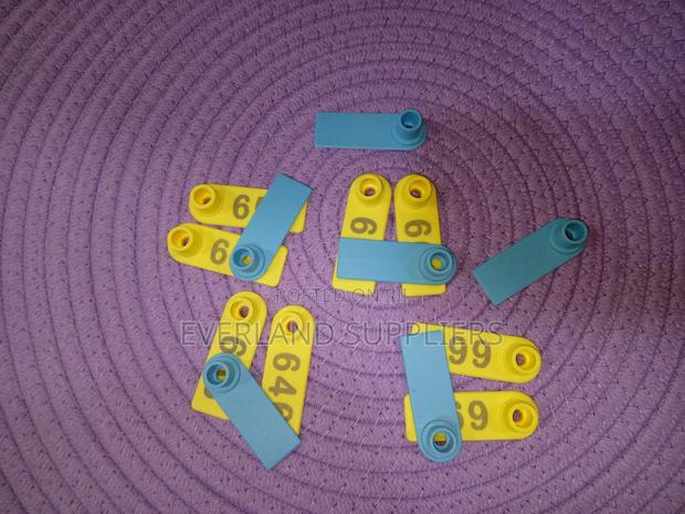 Ear Tags - Easy-Spot Ear Tags - main view