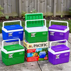 Reusable Eco-Friendly 4.5L Handheld Portable Cooler Box Ice Box
