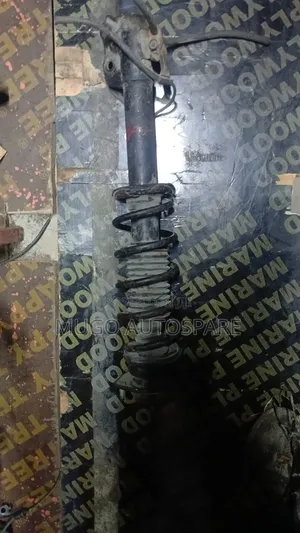 Nze Complete Shock Absorber and Spring Coil