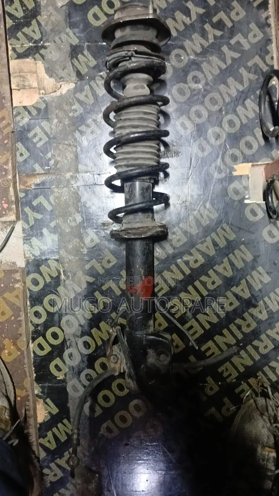 Passo Shock and Spring Coil Front