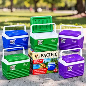 Rugged Built-to-Last 4.5L Handheld Portable Cooler Box Ice Box