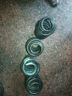 Passo Shock and Spring Coil Front