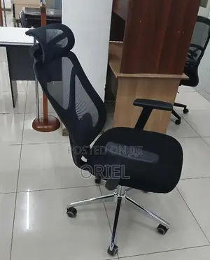High Back Ergonomic Office Chair : Adjustable Office Work Chair