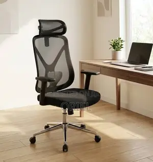 High Back Ergonomic Office Chair : Adjustable Office Work Chair