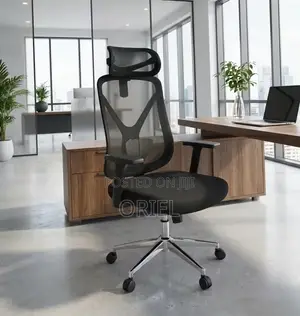 High Back Ergonomic Office Chair : Adjustable Office Work Chair