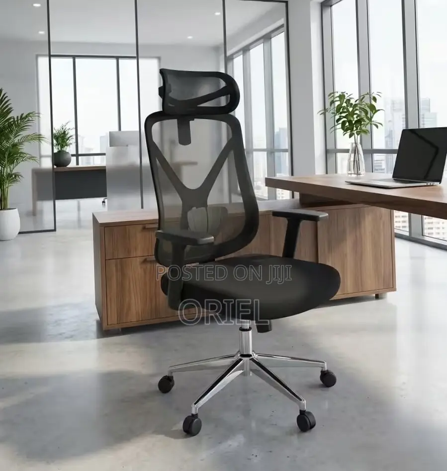 High Back Ergonomic Office Chair : Adjustable Office Work Chair