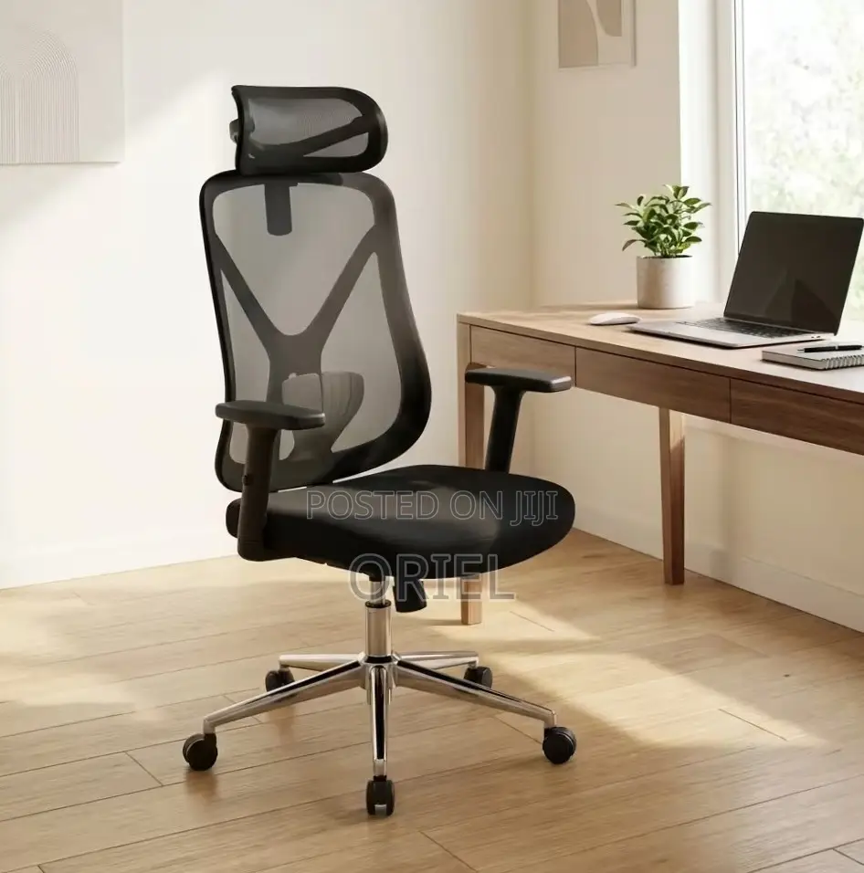 High Back Ergonomic Office Chair : Adjustable Office Work Chair