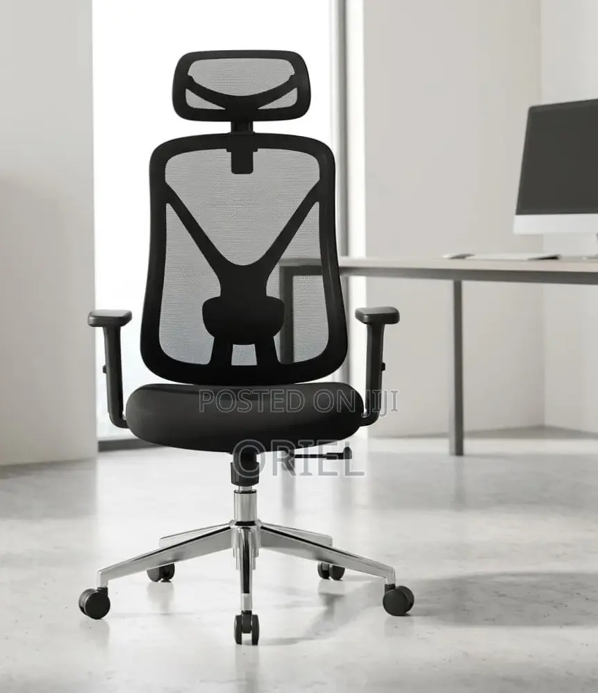 High Back Ergonomic Office Chair : Adjustable Office Work Chair