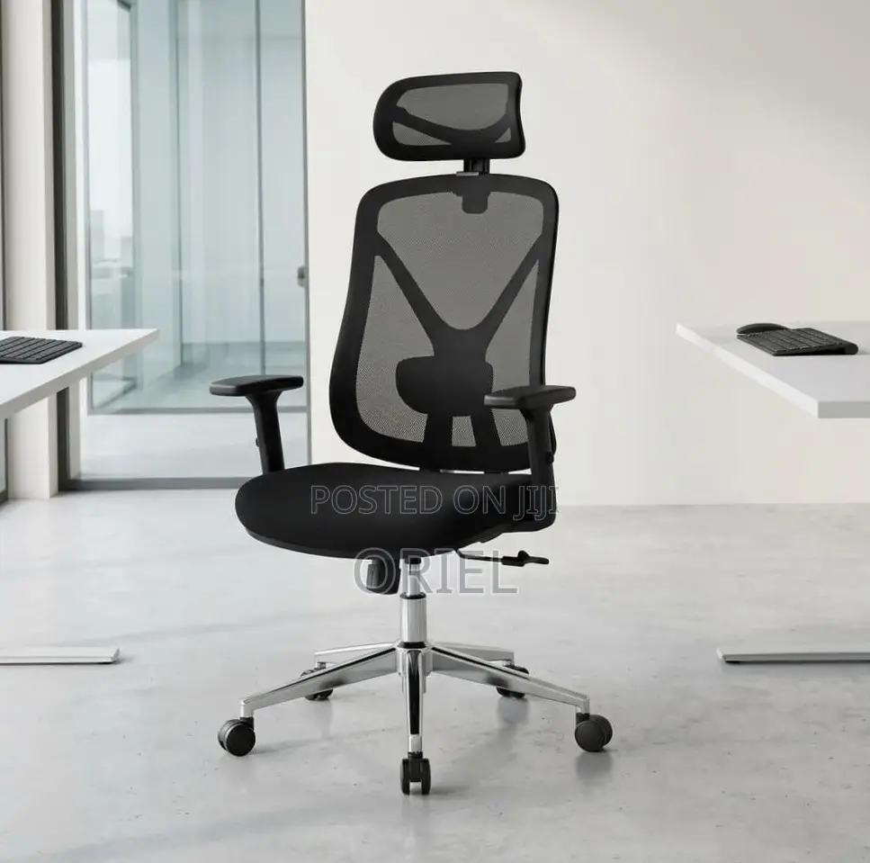 High Back Ergonomic Office Chair : Adjustable Office Work Chair