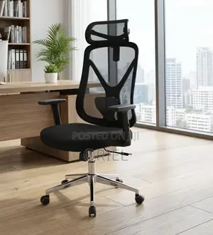 High Back Ergonomic Office Chair : Adjustable Office Work Chair