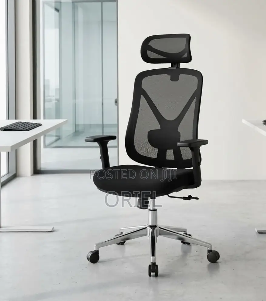 High Back Ergonomic Office Chair : Adjustable Office Work Chair