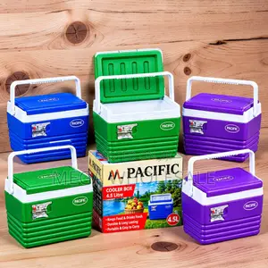 Carry Handles High Quality 4.5L Handheld Portable Cooler Box Ice Box