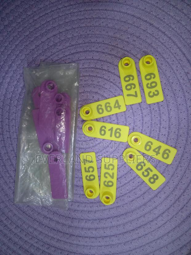 Ear Tags - Quick-View Number Tags - main view