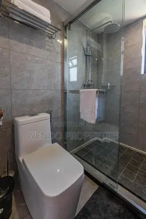 Furnished 3bdrm Apartment in Nyari for rent