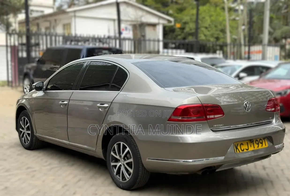 Volkswagen Passat 2014 Brown