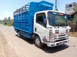 Isuzu NMR for Sale